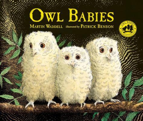 Owl babies(另開視窗)